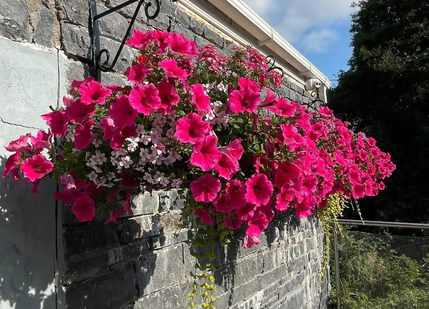 Shandon Bells Guest House Cork Bed & Breakfast